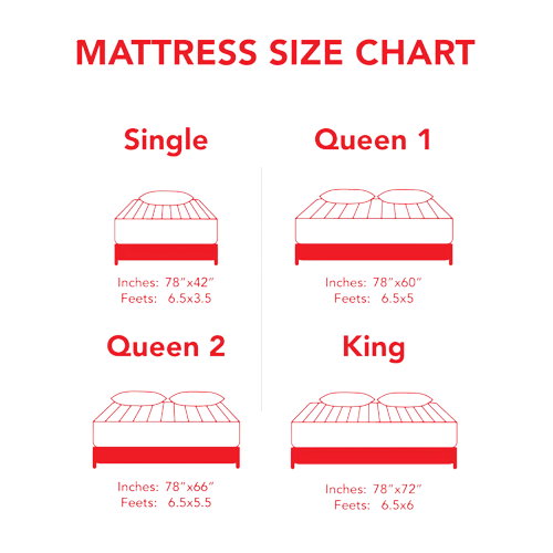 MoltyOrtho Extra Firm 10 Year Warranty (4")
